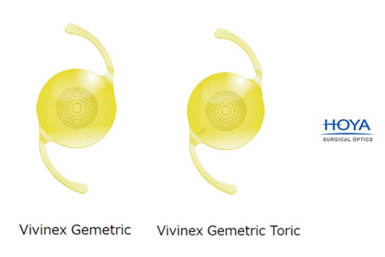 ジェメトリック Vivinex Gemetric